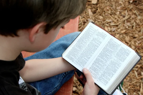 Efeitos da leitura bíblica